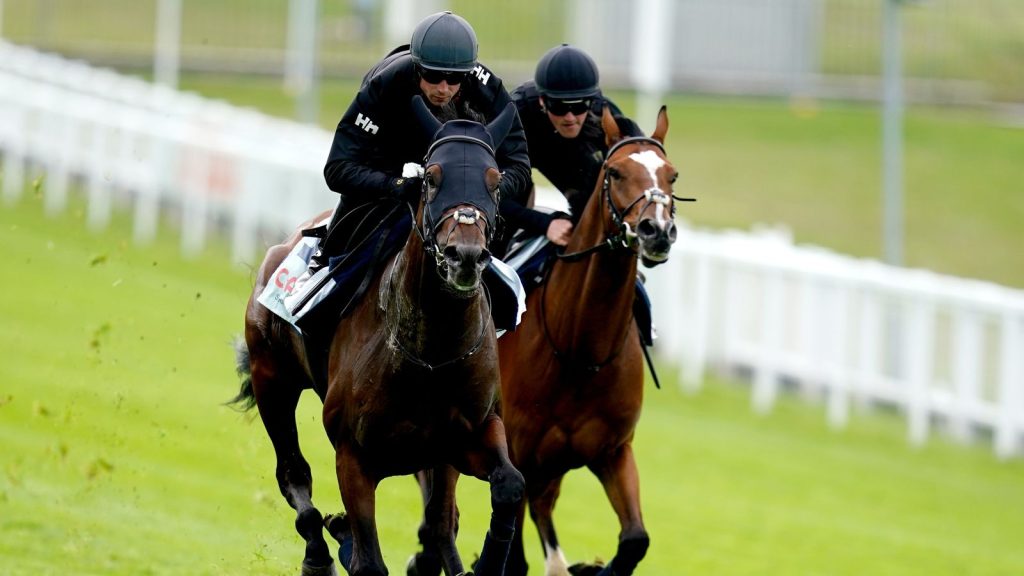 اليوم في Sky Sports Racing: المتحدون البريطانيون يتوجهون إلى ParisLongchamp للمشاركة في مسابقات المجموعة |  أخبار السباق